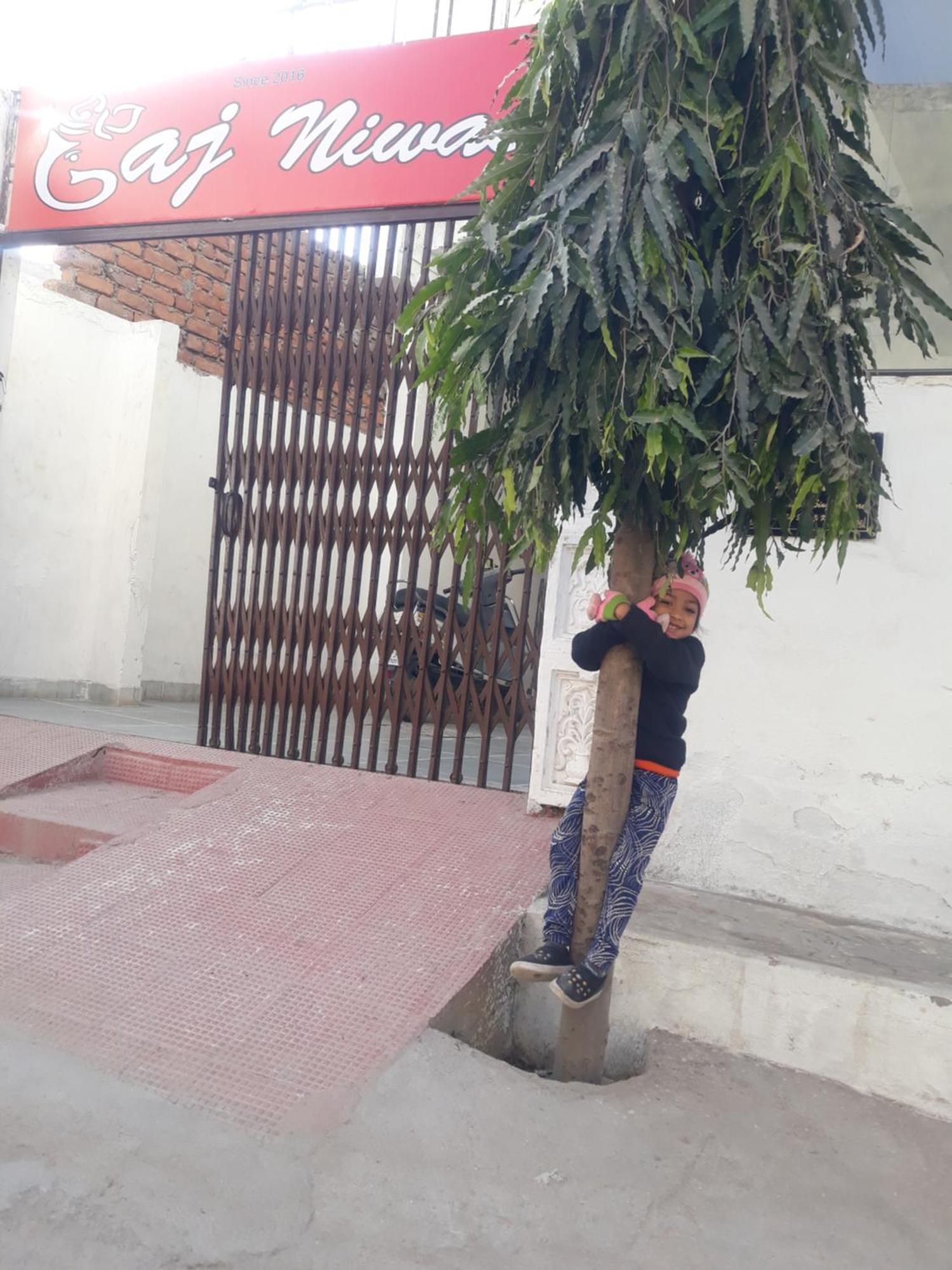Gaj Niwas Hotel And Restaurant,Udaipur,Rajasthan Exterior foto